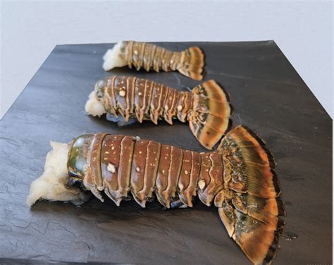 are warm water lobster tails good