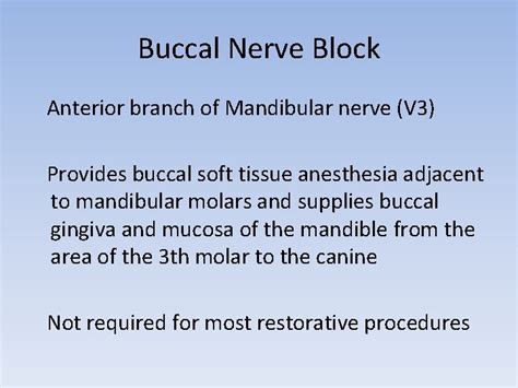 Clinical Anatomy Buccal Nerve Block Anterior branch of