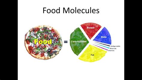 10 VIDEO Food Molecules Unit2 Topic10 Part2 - YouTube