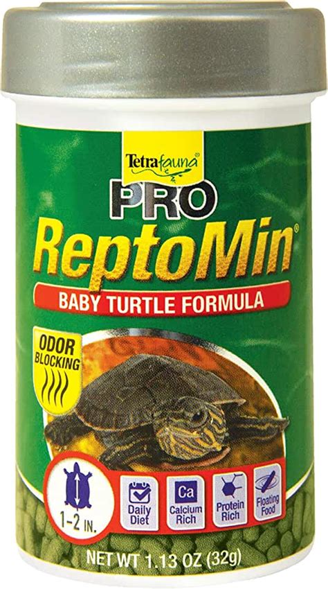 Amazon.com: baby turtle food