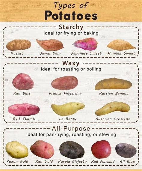 (1) Types of Potatoes : coolguides | Types of potatoes, Food info, Food ...