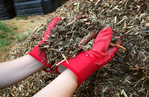 12 Best Organic Mulches For Vegetable Gardens