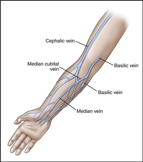 Vein Finder Allows Nurses To See Exactly Where To Draw Blood - SIFSOF