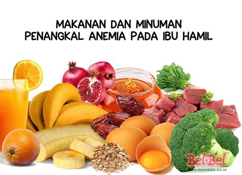 12 Makanan Penangkal Anemia Saat Hamil | Mandala Cahaya Sentosa