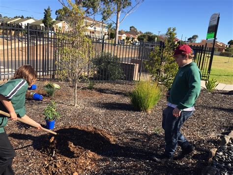 Casula High School on Twitter: "We celebrated National Reconciliation ...