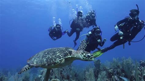 Scuba Diving In Cancun Mexico August 2017 - YouTube