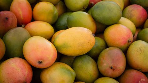 The Best Jamaican Mangoes: A Definitive Guide