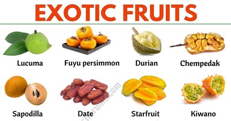 Exotic Fruits: List of 75+ Exotic Fruits From All Around the World ...