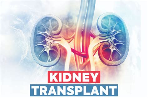 Kidney Transplant at Apollomedics Hospitals