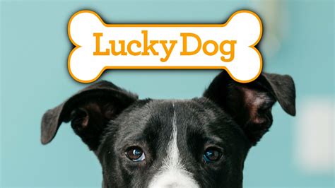 Lucky Dog - CBS Reality Series