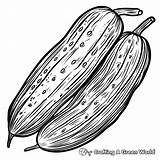 Cucumber Coloring Pages  Free & Printable sketch template
