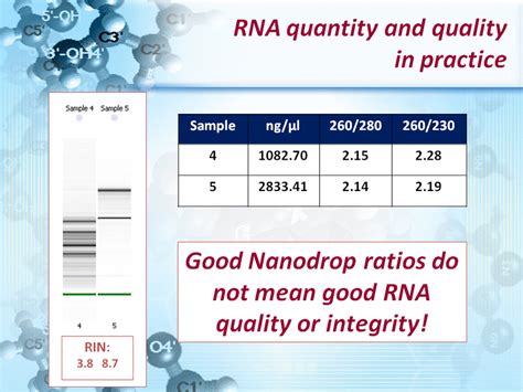 Oligo-dT vs. random Primer cDNA synthesis of RNA from FFPET