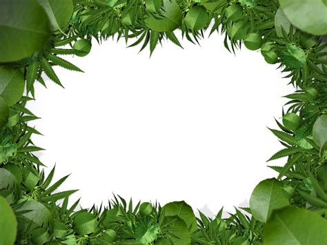 Nature Green Leaf Border PNG Clipart Free Download (Nature-Grass-And ...