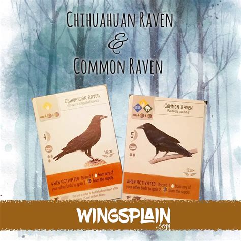 Chihuahuan Raven and Common Raven in Wingspan • Wingsplain