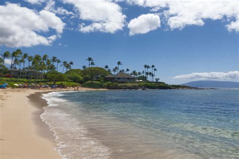 Kapalua Bay Snorkeling Guide - Maui Hideaway