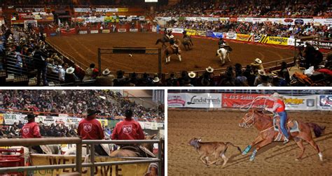 Black Hills Stock Show and Rodeo® 2019 - Cowboy Lifestyle Network