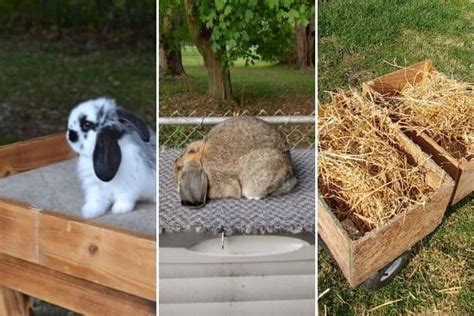 The Ultimate List Of Rabbitry Supplies For Beginner And Advanced Rabbit ...