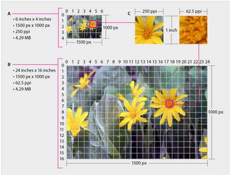 Resize Image Pixels In Photoshop - You dragged and dropped the image ...