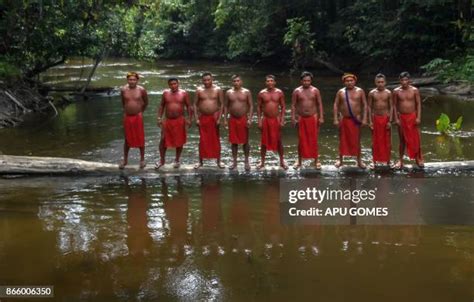 71 Waiapi Tribe Photos & High Res Pictures - Getty Images