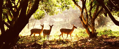 Cuc Phuong National Park - Vietnam's first national park