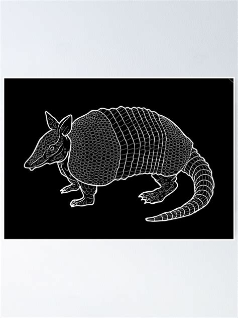 "Armadillo Line Drawing (light version)" Poster by KPCStudios | Redbubble