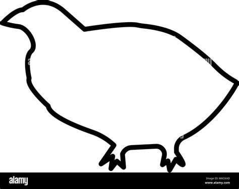 quail silhouette outline on white background Stock Vector Image & Art ...