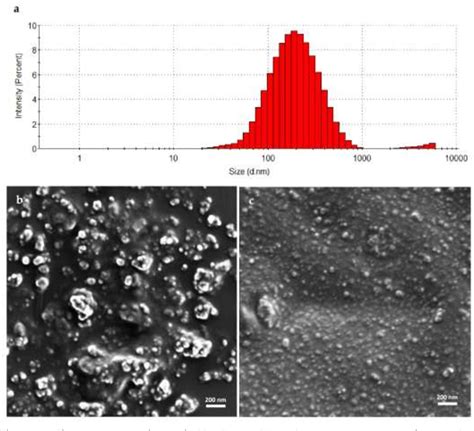 Figure 1 from Mixed Self-Assembled Amphiphilic Polymeric Nanoparticles for Intranasal Drug ...