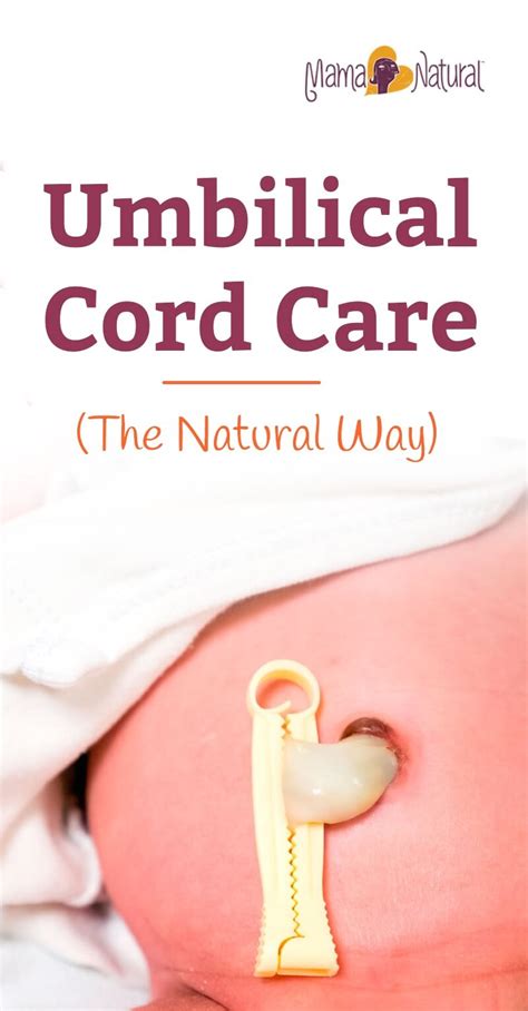 Umbilical Cord in Newborns: How to Care for It Naturally