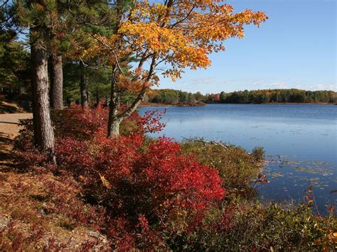 Photos: Take a Tour of Maine's Spectacular Acadia National Park | Live ...