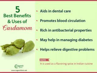 11 Evidence-Based Benefits of Cardamom | Organic Facts