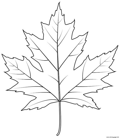 Maple Leaf Outline Printable