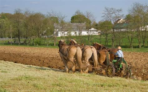 Amish communities are less sustainable than previously thought