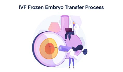 IVF Frozen Embryo Transfer - Timeline, Process, Pregnancy Test