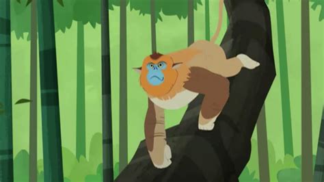 Image - Golden Snub-nosed Monkey (Wild Kratts).png | The Parody Wiki | FANDOM powered by Wikia