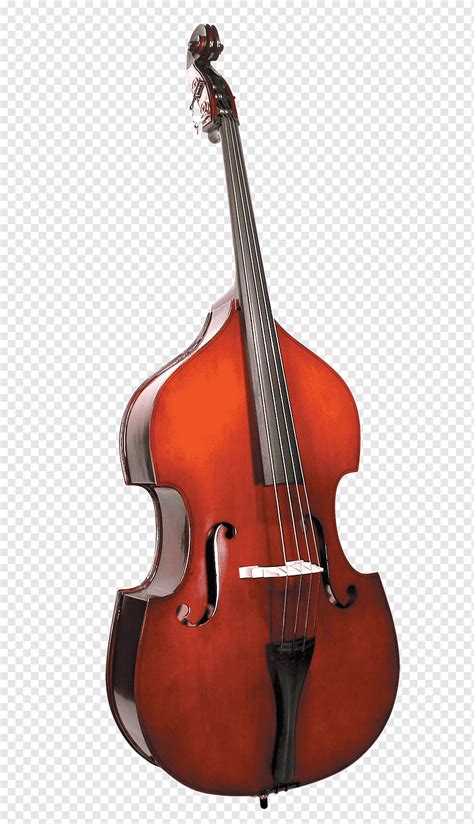 Double bass Bass guitar Violin Cello Viola, bass, bow, string Instrument, orchestra png | PNGWing