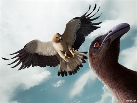 Julio Lacerda • A Haast’s eagle swoops down to give a moa a lethal... | Prehistoric animals ...