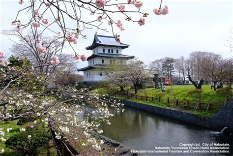 Hokkaido's Cherry Blossoms|Top 8 Cherry Blossom Spots Chosen by ...