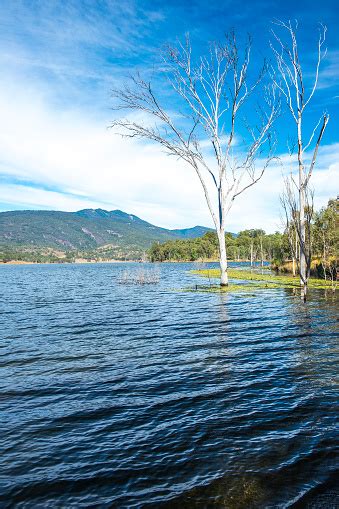 Maroon Dam In Queensland Stock Photo - Download Image Now - 2015 ...