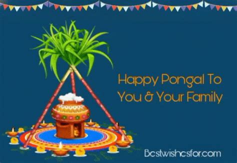 Top 115 + Happy pongal gif animation - Lestwinsonline.com