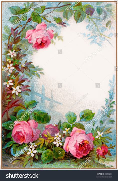 Vintage Roses Border