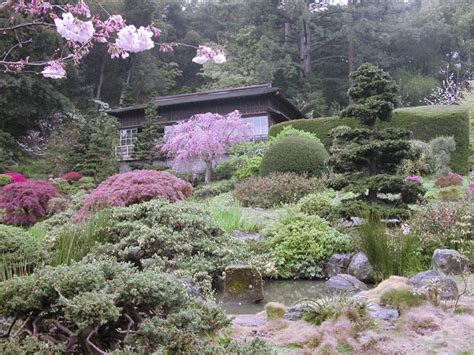 Hakone gardens - DESIGN FOCUS INTERNATIONAL