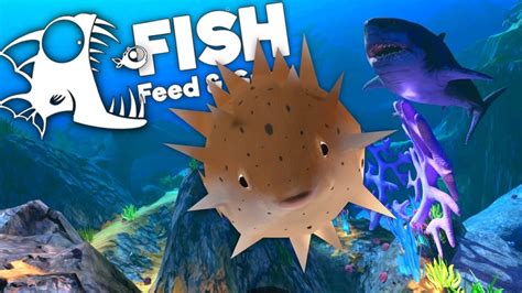 Feed And Grow Fish Download PC Game + PC Games [2023]