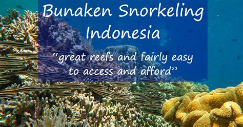 Bunaken Snorkeling - Excellent, Accessible, Affordable