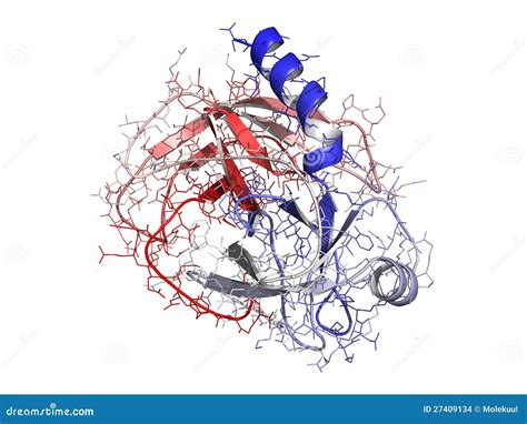 Trypsin Enzyme Molecule, Chemical Structure. Stock Images - Image: 27409134