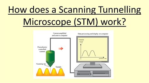 Scanning Tunneling Microscopy Scanning Tunneling Microscope X Ray | My XXX Hot Girl