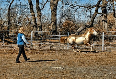 How to Build a Round Horse Pen on an Budget