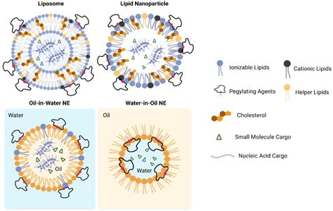 Frontiers | Application of lipid-based nanoparticles in cancer ...