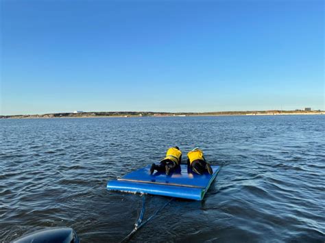 How to See Beluga Whales in Churchill, Manitoba - This Battered Suitcase