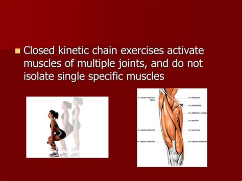 PPT - Closed Chain Exercise and Knee Pathologies PowerPoint ...