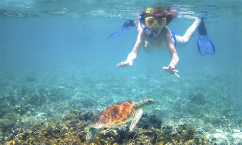 Pure Aloha Adventures - Up To 13% Off - Honolulu, HI | Groupon